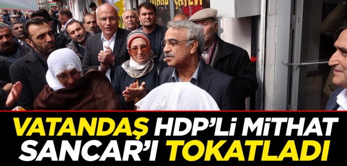 Vatandaş HDP’li Mithat Sancar’ı tokatladı