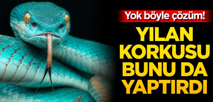 Yok böyle çözüm! Yılan korkusu bunu da yaptırdı